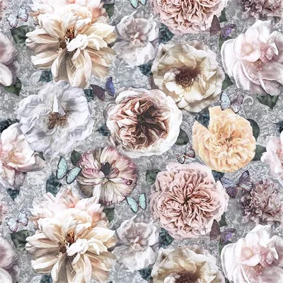 BALUCHI CAMEO thumbnail 4