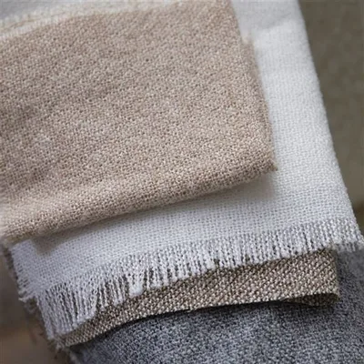 CHAROLLAIS BIRCH thumbnail 3