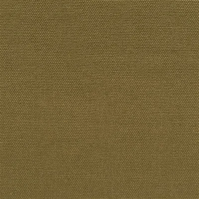 LOIRET OLIVE thumbnail 2