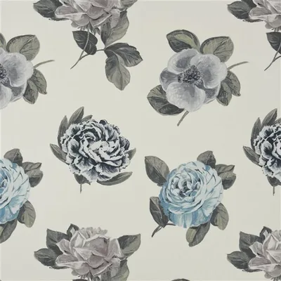 PAVONIA - GRAPHITE swatch