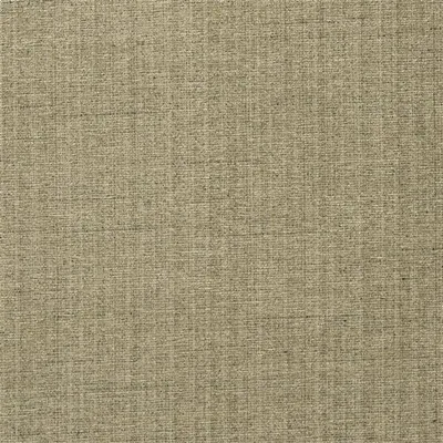 LILBURN - MOLESKIN — Naturally Iv swatch, view 1