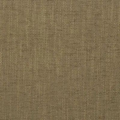 ELRICK - BIRCH — Naturally V swatch, view 1