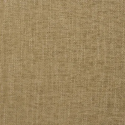 ELRICK - CAPPUCCINO thumbnail 2