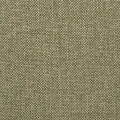 ELRICK - MOLESKIN — Naturally V swatch, view 1