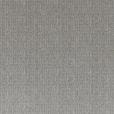 POMPANO OUTDOOR GRAPHITE swatch