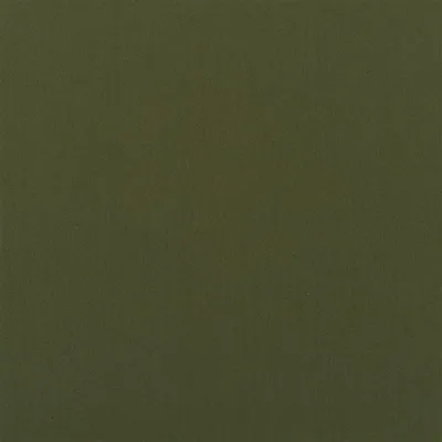 PERLEDO FERN thumbnail 2