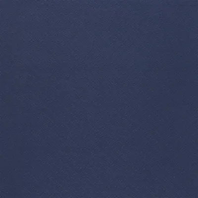 POIZIERE - INDIGO swatch