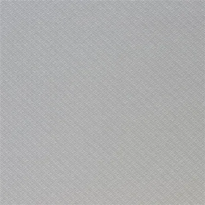 POIZIERE - ZINC swatch