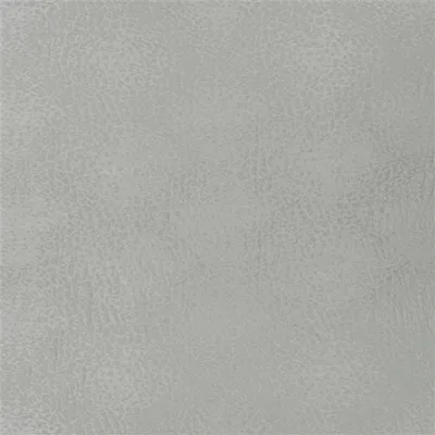 CIOTTOLI - PLATINUM swatch