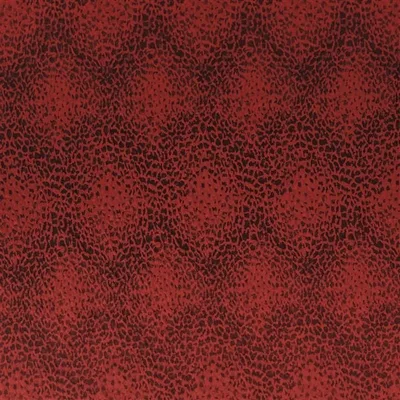 CIOTTOLI - SCARLET thumbnail 2