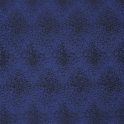 CIOTTOLI - ULTRAMARINE — Portico Taffetas swatch, view 1