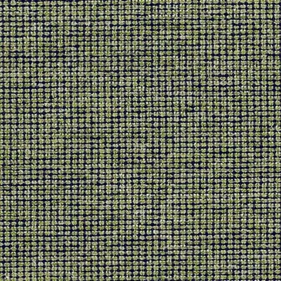 PORTO THYME — Porto swatch, view 1