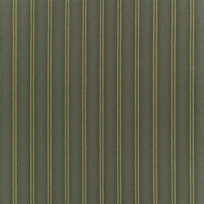 CORMO ACACIA thumbnail 6