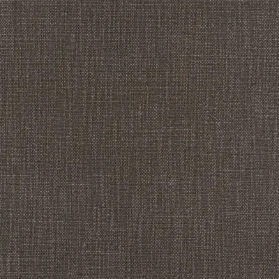 TORTONA CHARCOAL — Pottery Studio Fabrics swatch, view 1