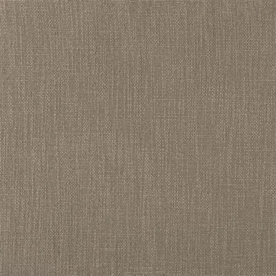 TORTONA MOLESKIN — Pottery Studio Fabrics swatch, view 1