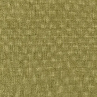 TORTONA MOSS — Pottery Studio Fabrics swatch, view 1