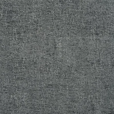 RIVEAU - CHARCOAL swatch