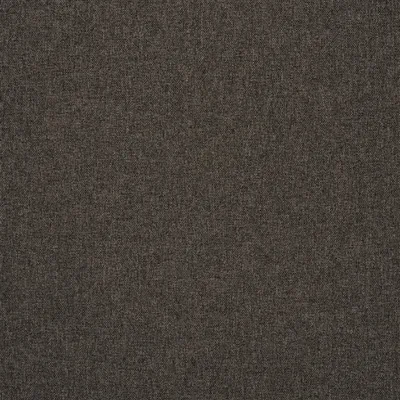 ROTHESAY - MOLESKIN — Rothesay swatch, view 1