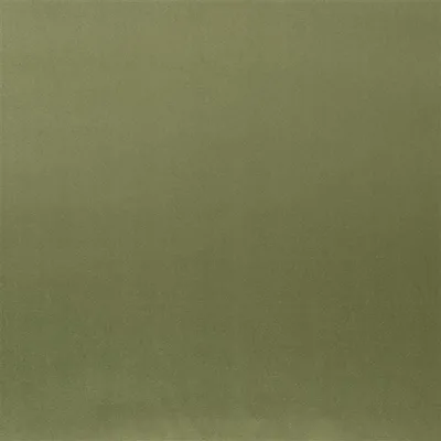 PATIA - FERN — Santiago swatch, view 1