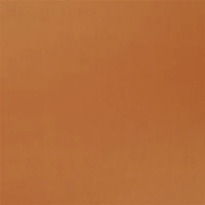 PATIA - SIENNA — Santiago swatch, view 1