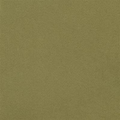 SANTIAGO - FERN thumbnail 2