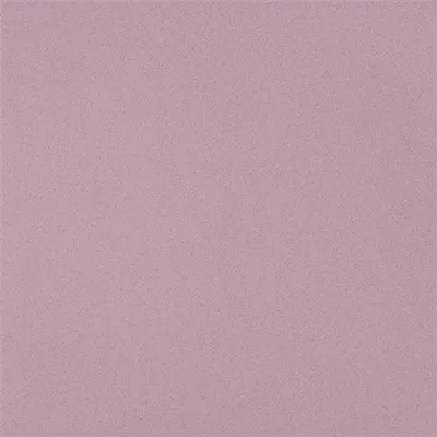 SANTIAGO - PALE PLUM thumbnail 2