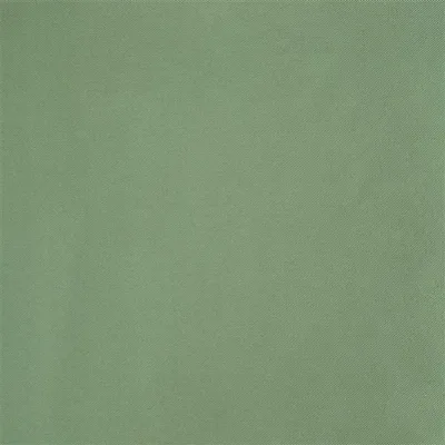 SATINATO - ALOE — Satinato Ii swatch, view 1