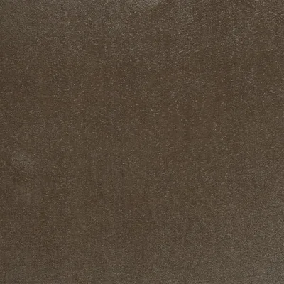 SATINATO - SPICE thumbnail 2