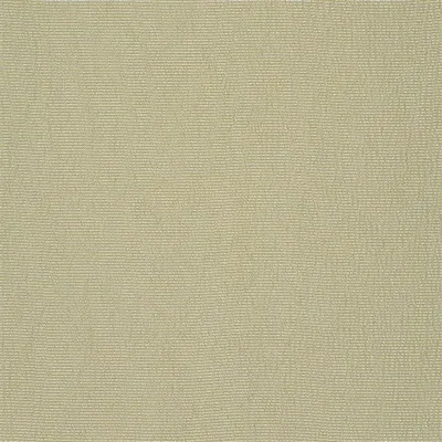 STRIATO - CYPRESS thumbnail 4