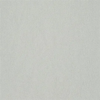 STRIATO - ZINNIA thumbnail 6