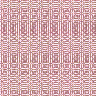 SAMARINDA OUTDOOR EPICE thumbnail 6