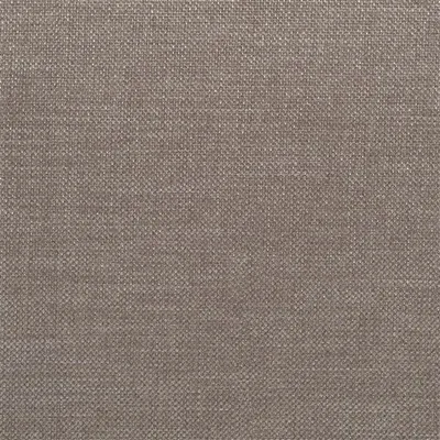 BRIENNO - MOLESKIN — Scala swatch, view 1