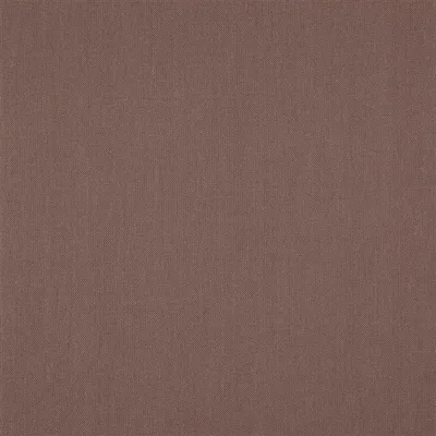 SCALA - CAMEO swatch