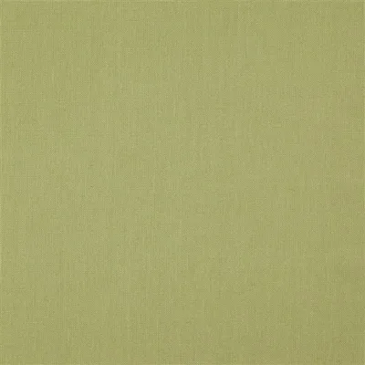 SCALA - PISTACHIO thumbnail 2