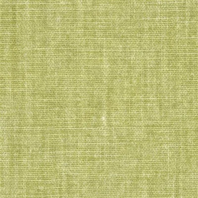 SORANZA - ACACIA thumbnail 2