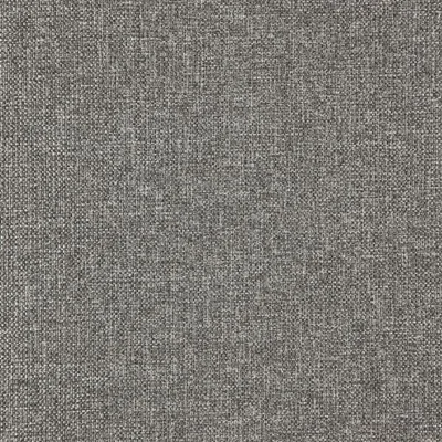 DUNSTER GRAPHITE — Sesia swatch, view 1