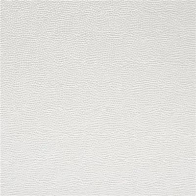 SESIA ALABASTER swatch