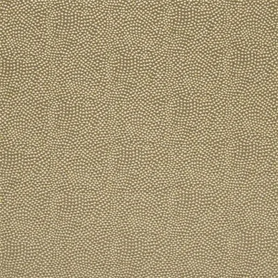 SESIA FERN thumbnail 2