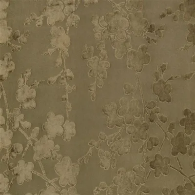 KIBUSHI - CAPPUCCINO — Shima swatch, view 1