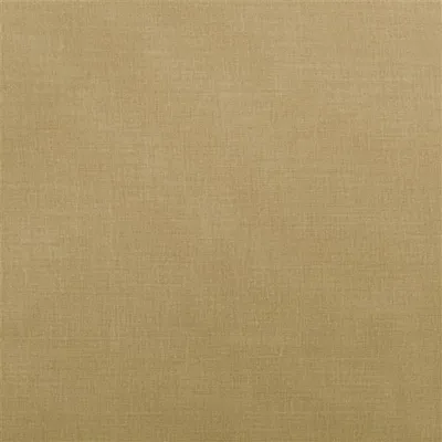 BELLAVISTA CARAMEL swatch