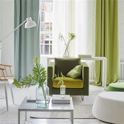 BELLAVISTA FIR thumbnail 3