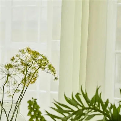 BELLAVISTA THYME thumbnail 4