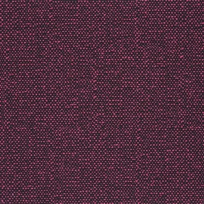 SLOANE - GERANIUM thumbnail 2