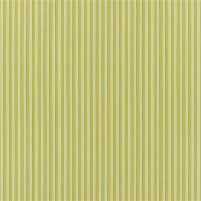 CONDUIT STRIPE CELADON thumbnail 4