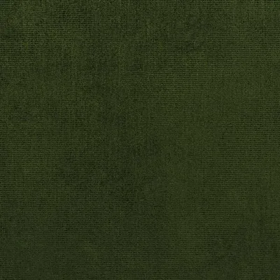 TARAZONA FOREST — Tarazona swatch, view 1