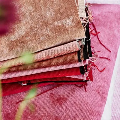 TARAZONA FUCHSIA thumbnail 3