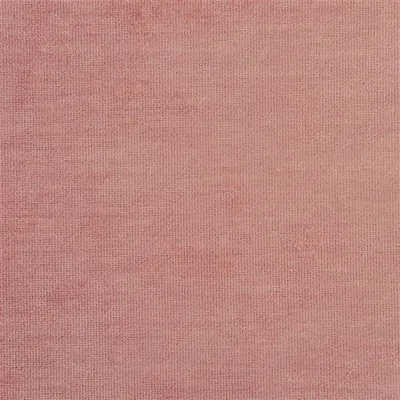 TARAZONA ROSE thumbnail 2