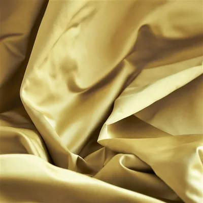 TIBER AMBER thumbnail 2