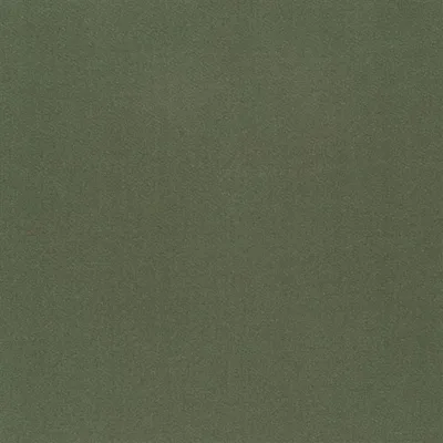 TIBER - AVOCADO — Tiber Iii swatch, view 1