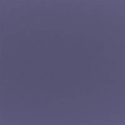 TIBER BLUEBERRY thumbnail 3